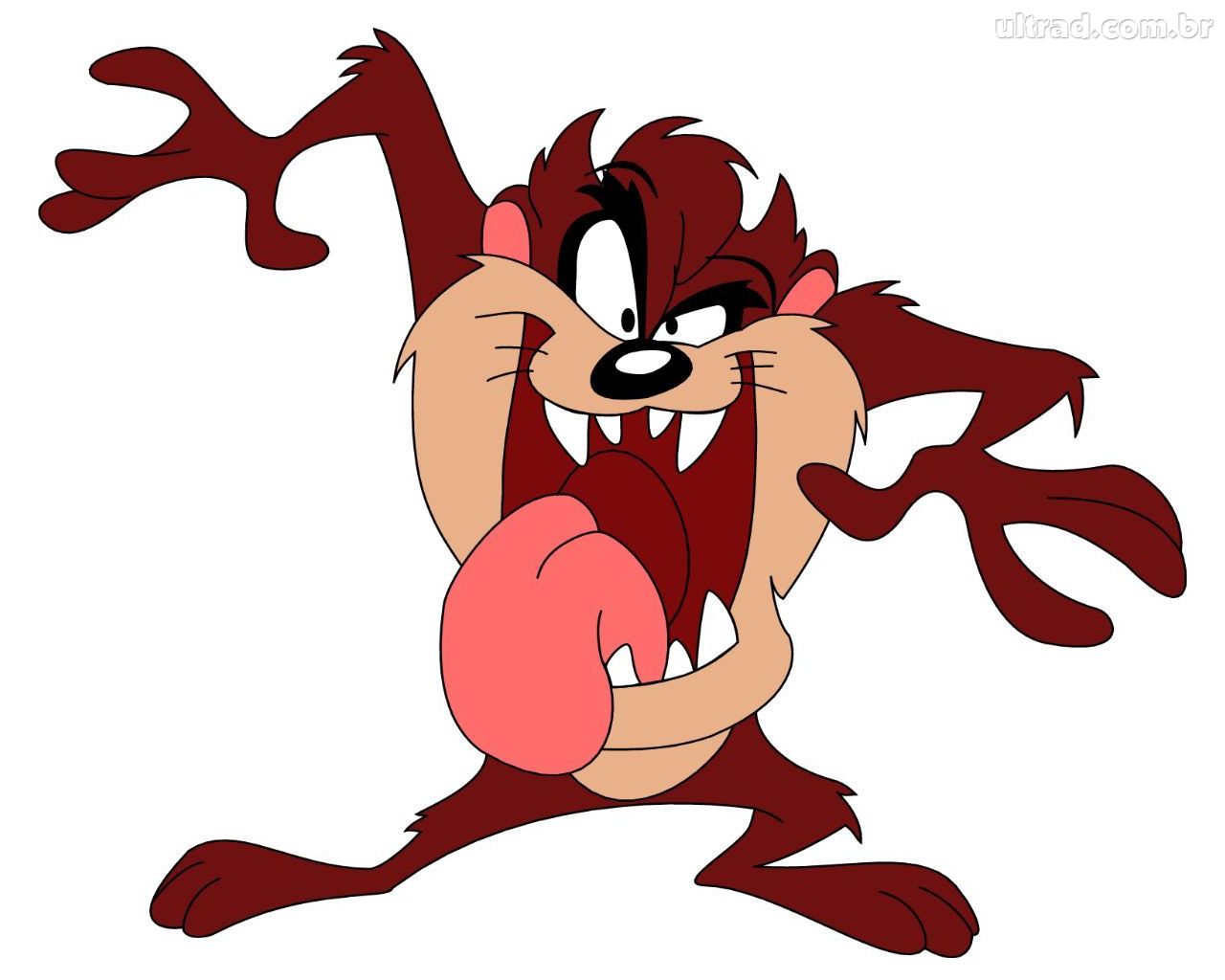 Looney Tunes Characters taz angry