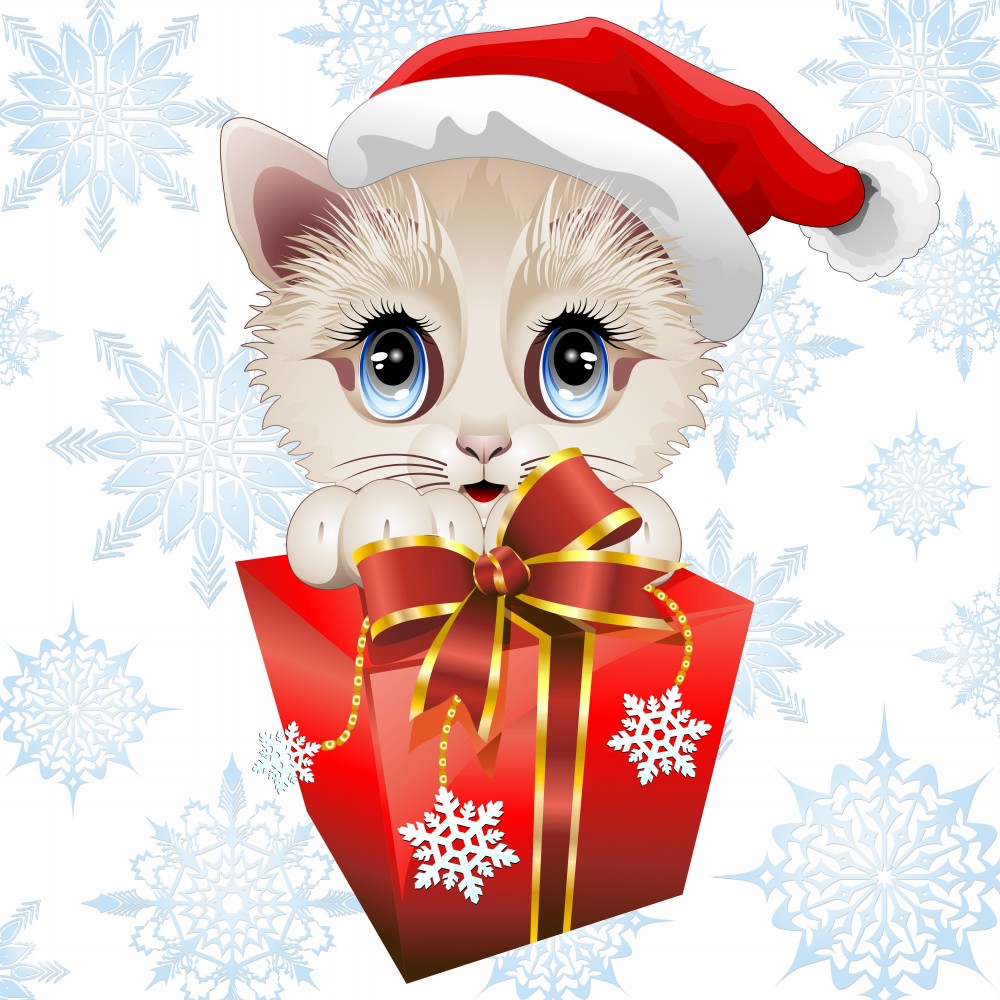 Funny Christmas Cat Cartoon picture, Funny Christmas Cat Cartoon wallpaper