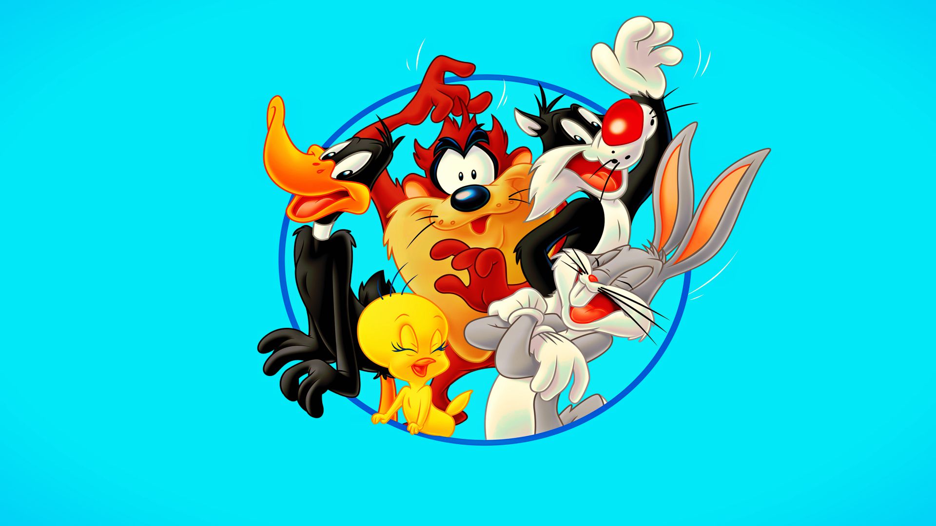 Looney Tunes Characters  taz