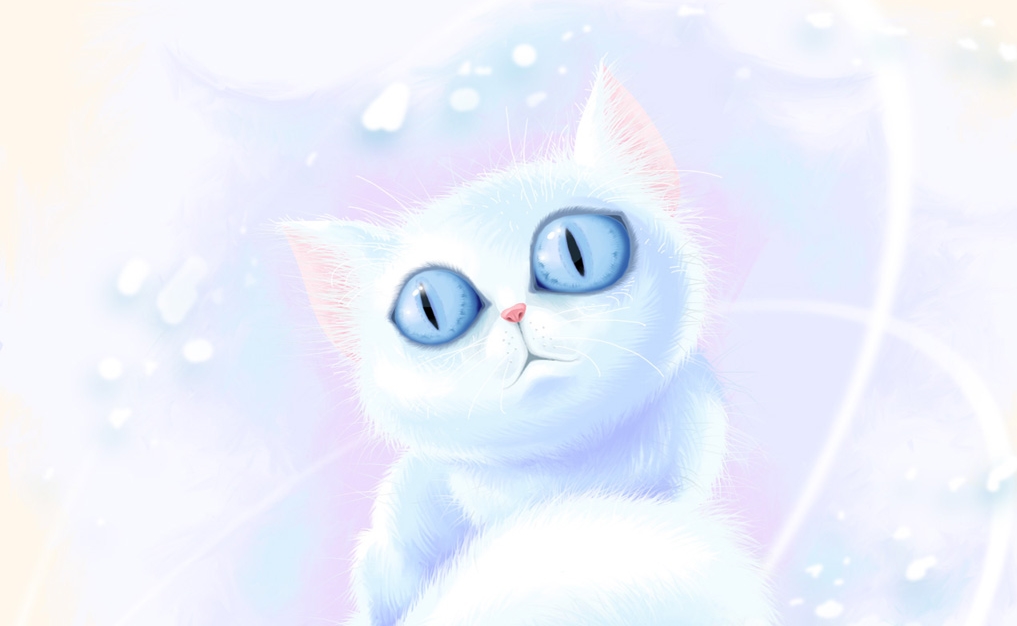 white cat cartoon wallpaper
