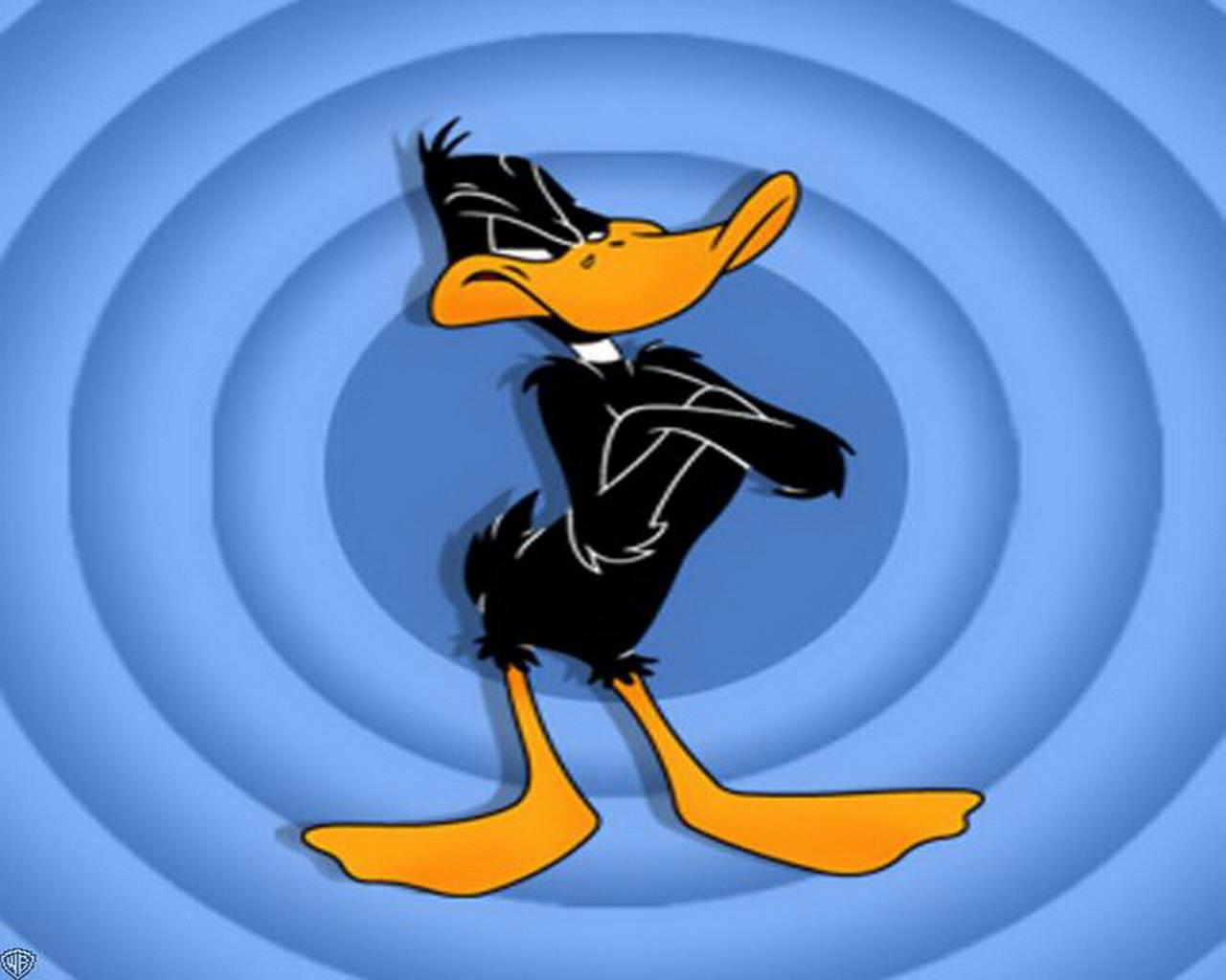 daffy duck free background
