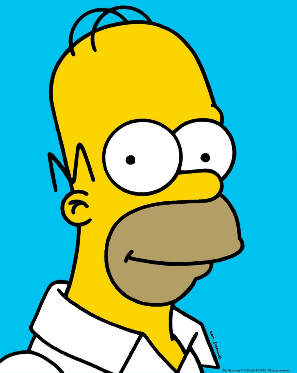 Ford Homer Simpson
