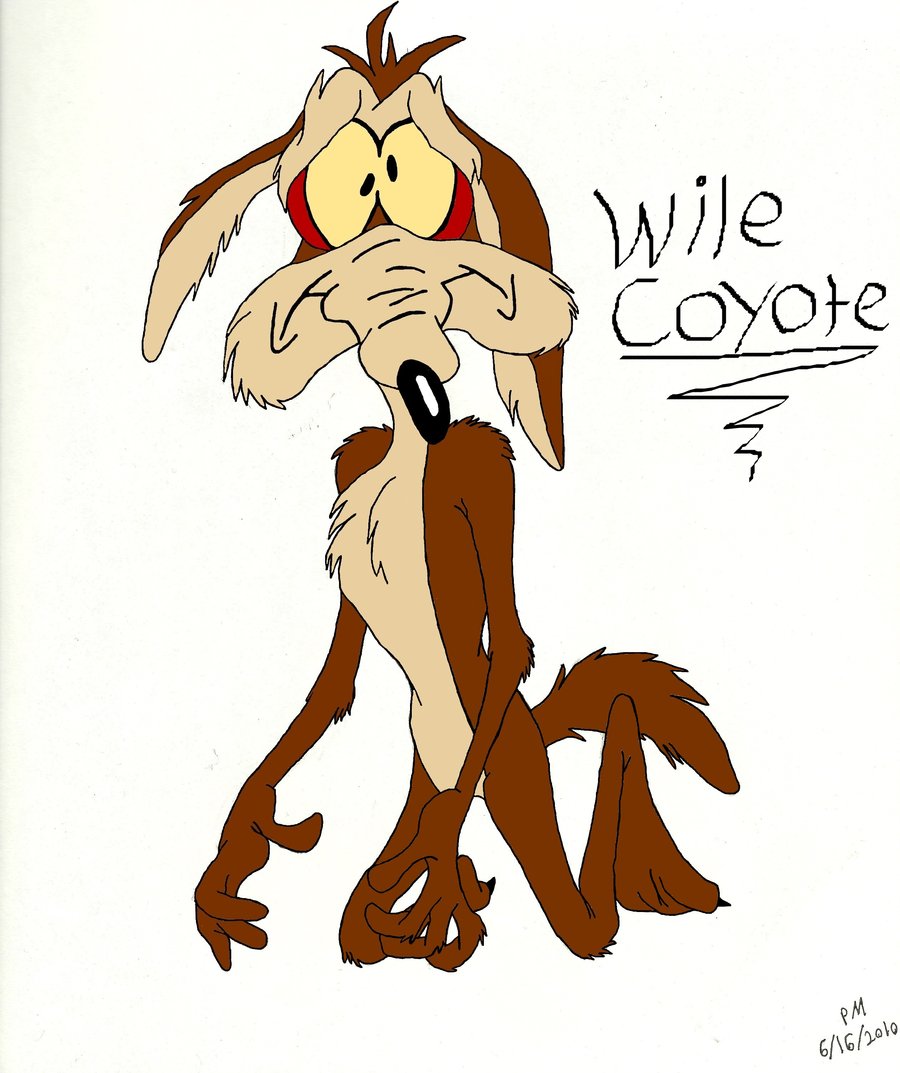 Wile Coyote background