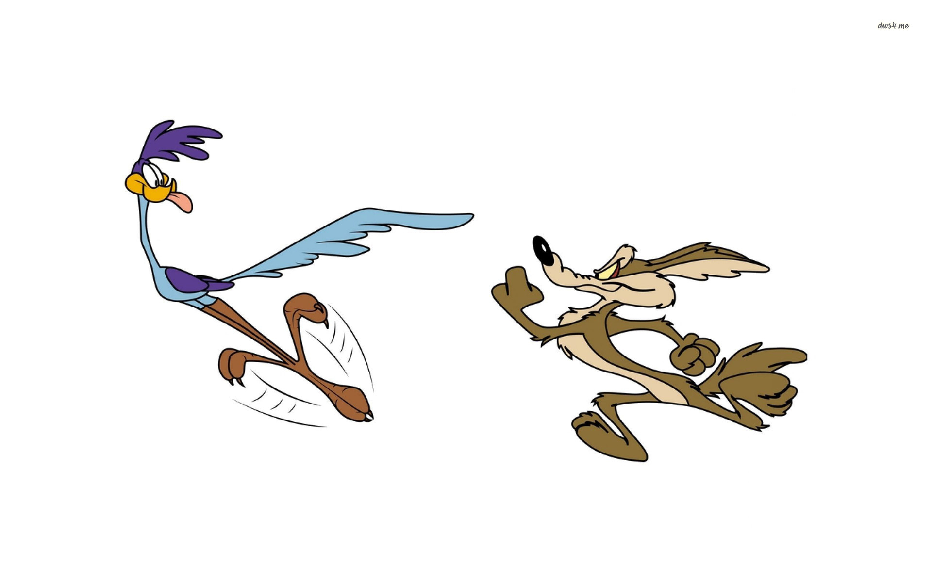 wile coyote and the road runner