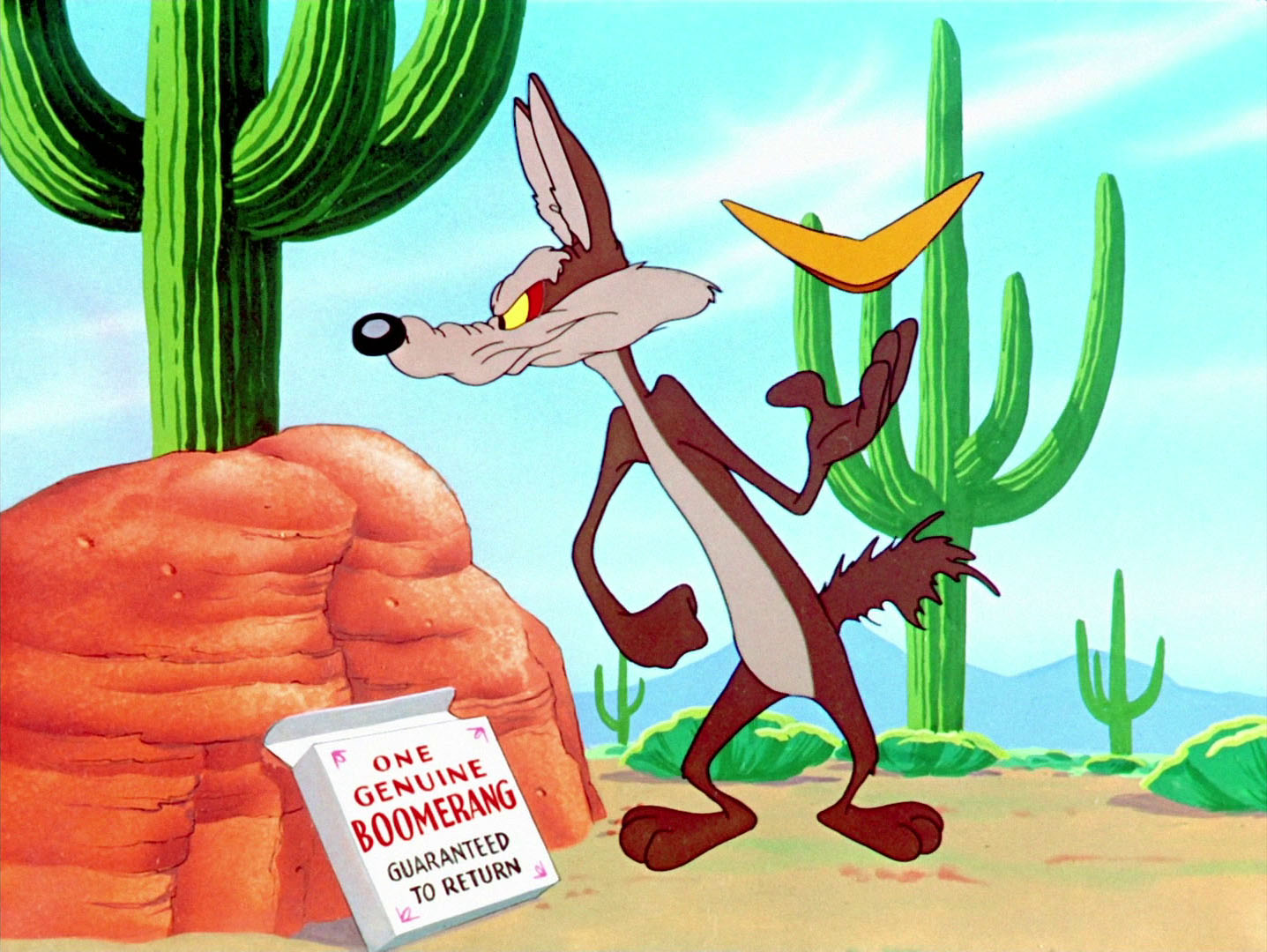 wile coyote fast and furryous