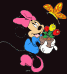 minnie Mouse flowers and fly