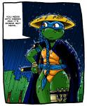 Ninja Turtles free