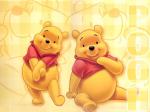 Winnie the Pooh beauty