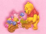 winnie pooh baby cover