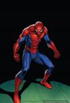 Peter Parker Superior Spider Man