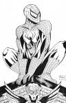 spiderman draw