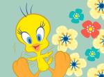 Baby Tweety Bird Wallpaper