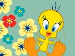 Baby Tweety with Flower Wallpaper