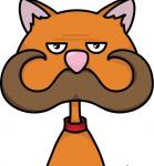 moustache cat angry