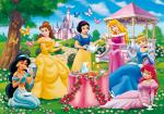 Disney Princess background