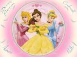 Disney Princesses mirror