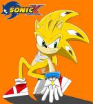 Sonic X Static