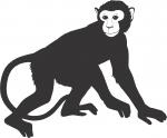 cartoon monkey dark