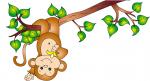 monkey cute monkey jump