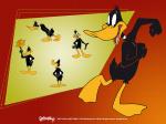 Daffy Duck full hd looney tunes