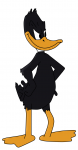 Daffy Fan Art daffy duck