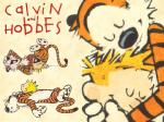 Calvin and Hobbes free cover