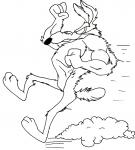 Wile Coyote coloring pages