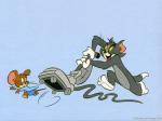 tom and jerry free